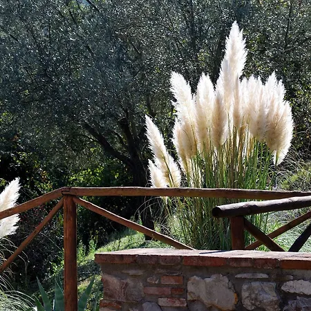 Hotel Tenuta Di Ricavo Castellina in Chianti