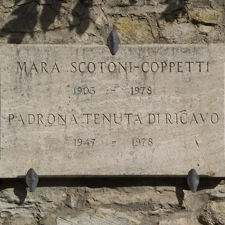 Otel Tenuta Di Ricavo