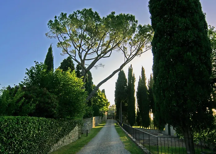 Tenuta Di Ricavo Castellina in Chianti